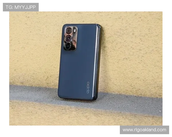 OD体育旗舰厅下载官网详细教程，教你快速注册登录享受丰富体育赛事内容