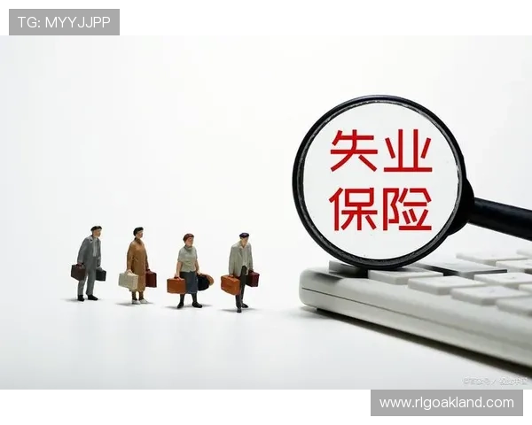 D3顶盛体育全站登录遇到问题怎么办？详细解决方案助你顺利登录体验