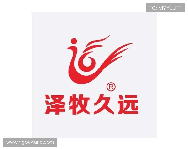 中欧体育平台网址访问指南,详细介绍多平台多渠道登录方式 中欧体育平台网址访问指南,详细介绍多平台多渠道登录方式